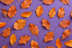 Pattern of Dry Orange Metallic Leaves on Violet Background Product Image 1