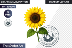 Flower Clipart PNG, Botanical Illustration Floral graphic Product Image 1