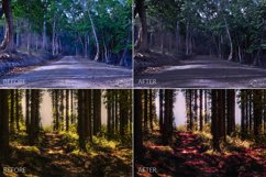 Dark Forest Lr Presets Product Image 2