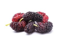 Mulberry berries isolated Product Image 1