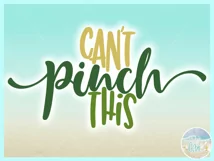 St Patricks Day Cant Pinch This Svg Dxf Eps Png Pdf Files Product Image 3
