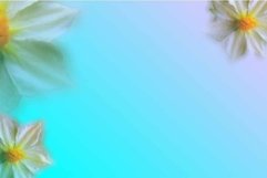 Floral Sublimation backrounds Product Image 1