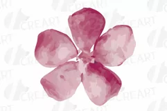 Burgundy and coral pink watercolor floral wedding clip art, Product Image 13