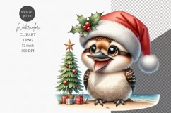 Baby kookaburra, Australian animal, Christmas on beach Product Image 1