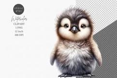 Penguin clipart, Winter clipart, Christmas clipart Product Image 1