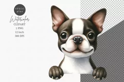 Animals clipart, Boston terrier clipart, Dog clipart Product Image 1