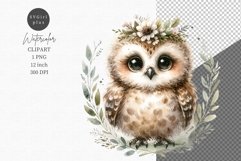 Spring clipart, Little owl clipart, Watercolor clipart Product Image 1
