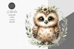 Spring clipart, Little owl clipart, Watercolor clipart Product Image 1