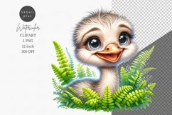 Ostrich clipart, Safari clipart, Watercolor clipart Product Image 1