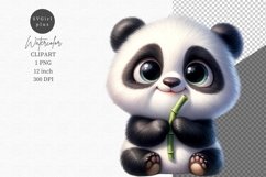 Baby panda clipart, Watercolor clipart, Animals clipart Product Image 1