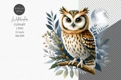 Owl clipart, Animals clipart, Watercolor clipart, Product Image 1