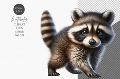 Baby raccoon clipart, Animals clipart, Spring clipart, Product Image 1