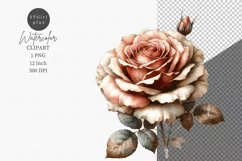 Blooming rose clipart, Grunge style, Flower sublimation Product Image 1