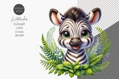 Zebra clipart, Safari clipart, Watercolor clipart Product Image 1