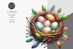 Nest clipart, Spring clipart, Watercolor clipart, Product Image 1