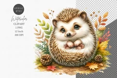 Hedgehog clipart, Watercolor clipart, Animals clipart Product Image 1