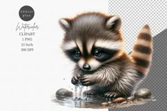 Baby raccoon clipart, Animals clipart, Spring clipart, Product Image 1