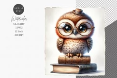 Owl on books clipart, Watercolor clipart Product Image 1