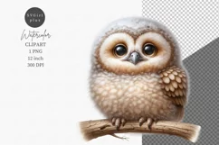 Owl clipart, Watercolor clipart, Birds clipart Product Image 1