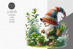 Gnome with herbs clipart, Garden clipart, Kitchen clipart Product Image 1