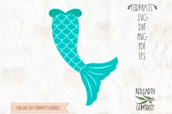 Mermaid tail and clam bra, scale in SVG, DXF, PNG,EPS format Product Image 3
