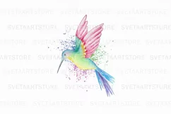 Watercolor Hummingbird Sublimation Downloads Product Image 1