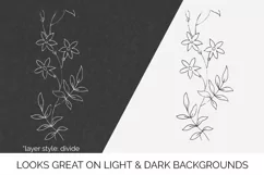 Flower Clipart Black and White - Floral Illustration Jessame Product Image 2
