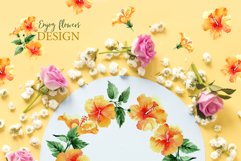 Naranja Hibiscus Watercolor png Product Image 7