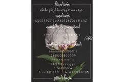Web Font Pour Lavie Product Image 8