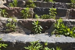 old stone crumbling staircase Product Image 1