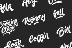 Web Font Adleit Script Product Image 2