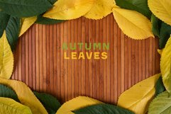 Autumn Leaves template frame bundle Product Image 4