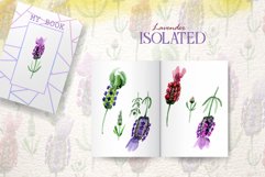 lavender Watercolor png Product Image 7