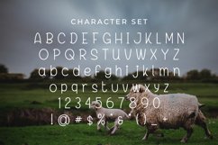 Web Font Herbivore Product Image 3