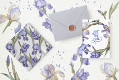 Blue irises flowers morning dawn watercolor png Product Image 3