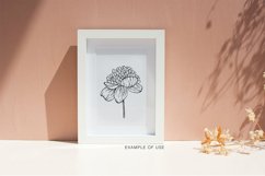 Peony svg, Hand drawn peony flowers PNG, Flowers SVG Product Image 5