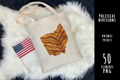 Political divisions of the US. Fluffy tiger print Product Image 1