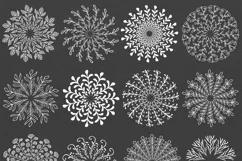 240 Wedding Wreaths - Free Design of The Week Product Image 6