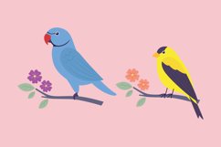 Flat Vector Birds Product Image 1