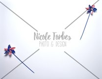 American Lay Flat Style Photo Bundle Product Image 4