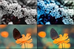 35 Flowering Spring Lightroom Presets Product Image 3