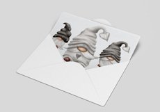 Grey Gnomes Product Image 2