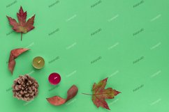 Forest cosy flat lay composition Product Image 1