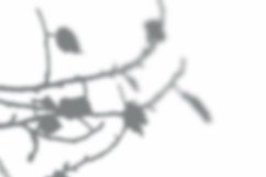 Leaves Shadow Overlay Effect Mockup Product Image 2