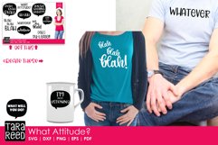 What Attitude? Bundle Product Image 2