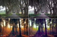 Dark Forest Lr Presets Product Image 6