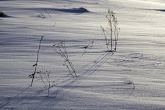 agricultural field Product Image 1