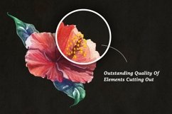 Florist: Watercolor Flowers Set Product Image 2