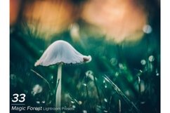 33 Magic Forest Lightroom Presets Product Image 1