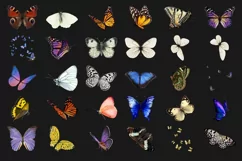 200 BUTTERFLIES TRANSPARENT PNG FILES, PHOTOSHOP OVERLAYS Product Image 10